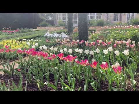 Colebrook House: a dramatic garden with water and tulips designed by Todd Longstaffe-Gowan