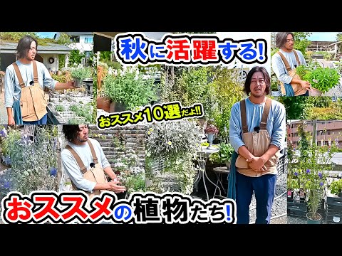 【秋に活躍する植物たち】【ローズガーデン・カネコさん】