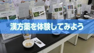 【第一薬科大学】漢方薬学科～漢方薬を体験してみよう！