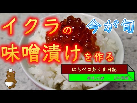 はらペコ茶くま日記　イクラの味噌漬けを作る