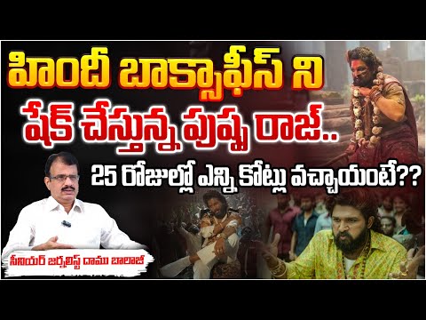 హిందీ బాక్సాఫీస్ ని షేక్ చేస్తున్న పుష్ప రాజ్..? |  Pushpa 2 Breaks All Records, Allu Arjun Pushpa 2