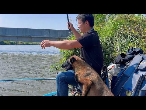 第一次带马犬钓鱼，真怕它咬人，看这表现还不错