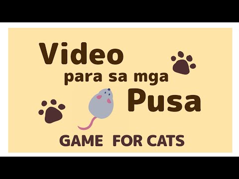 Video para sa mga pusa 20 minuto