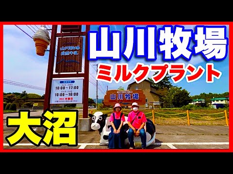 【山川牧場ミルクプラント】北海道大沼　牛舎・仔牛が見れて牛乳とソフトクリームがおいしい／北海道のグルメガイド