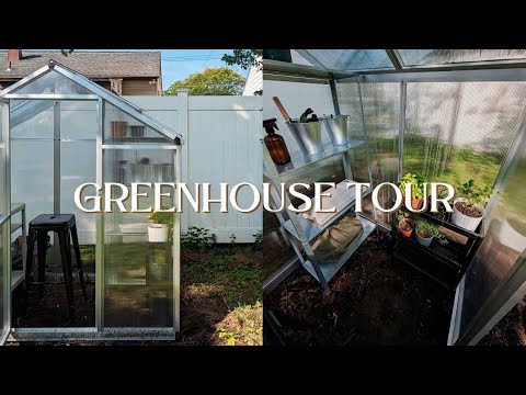 GREENHOUSE TOUR (finally lol) 🪴