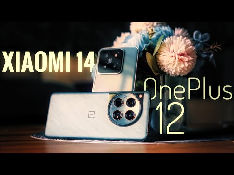 Xiaomi 14 VS OnePlus 12 Camera Comparison | Photography