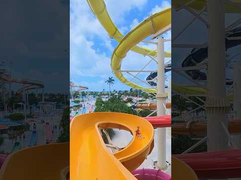 Perfect day at Coco Cay #cococay #waterpark #waterslide #ytshorts