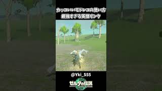 【ティアキン】これがモドレコの真の使い方【ゼルダの伝説 ティアーズ オブ ザ キングダム】