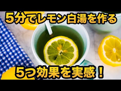 【効果あり】はちみつ入り「レモン白湯」を朝の５分で作る【ダイエットや快便など５つ効果を実感】