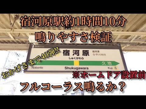 【フルコーラス鳴るか？】宿河原駅で約1時間10分鳴りやすさ検証してみた結果  第40弾