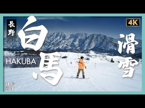 Japan Powder Snowboarding in Hakuba Valley｜Goryu ｜Happo-one｜Tsugaike Mountain｜Iwatake｜Cortina