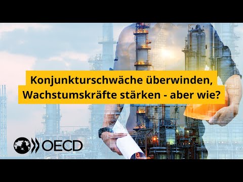 Konjunkturschwäche überwinden, Wachstumskräfte stärken - aber wie?