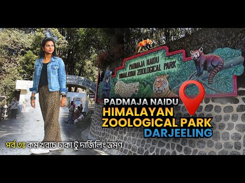 🇮🇳 মাত্র ১৫০রুপিতে দার্জিলিং এ ১দিন ভ্রমণ ! Darjeeling Zoo | Himalayan Zoological Park