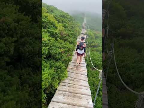 鳥取県の絶景！夏の大山行ってきたよ！山頂は幻想的🌁少し降りたところの景色も良かったからまた載せる！#ハイキング #登山  #trailrunning #trailrunninggear