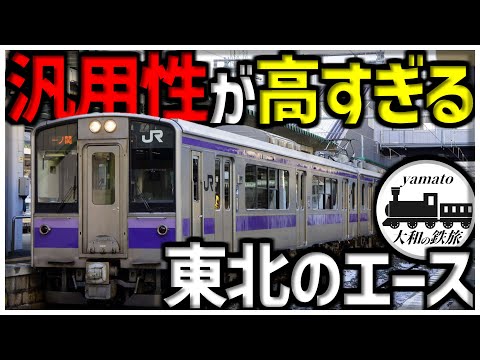 【鉄道旅】汎用性の高すぎる東北のエース、701系電車に乗車し岩手県を縦断する旅　東北本線乗り通し旅part3（東北本線）