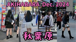 [東京散歩 4K] 秋葉原 AKIHABARA / Dec. 2024 (1)  [WALK TOKYO]