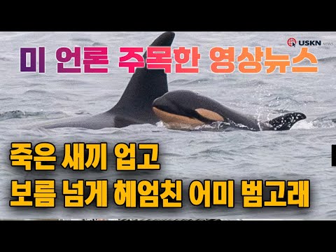 미 언론이 전하는 영상뉴스 1월 3일