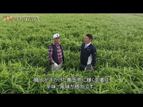 ナリタヤやさい 千葉県八街市・正木登さんの生姜