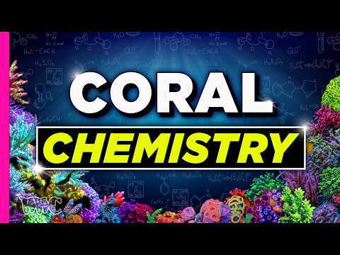 Understanding Your Tank! Breaking Down The Chemistry!