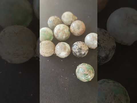 10 marbles dug today #marbles  #madness #likeandsubscribe #diggers #youtube  #kentuckydiggersteve