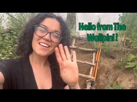 Why We Built a Walipini: Extending Growing Season & Boosting Harvest | Q&A