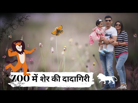 ZOO में शेर की दादागिरी | Bannerghatta Butterfly Park | Bannerghatta Zoo | Bangalore Vising Place |