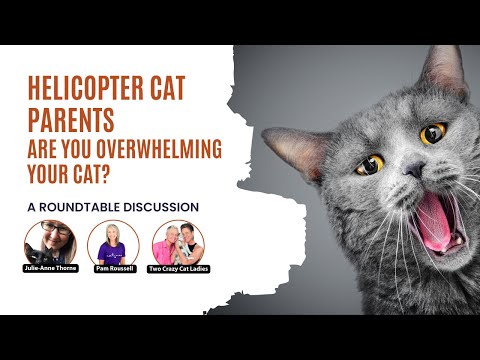 Are You A Helicopter Cat Parent? | Roundtable Event | Two Crazy Cat Ladies