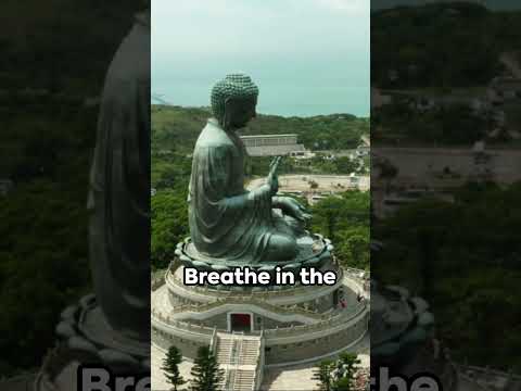 A Breathtaking Journey: Ngong Ping 360 Cable Car #explorehongkong #hongkongtravel #topattractions