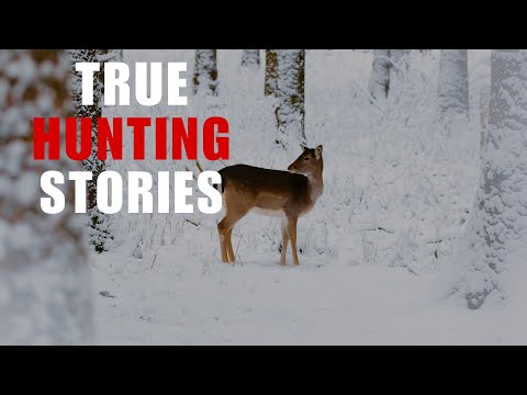 3 Hours Of Scary Hunting Horror Stories | Scary Hunting Stories | Scary Stories | With Rain Sounds