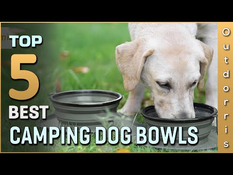 Top 5 Best Camping Dog Bowls Review in 2023