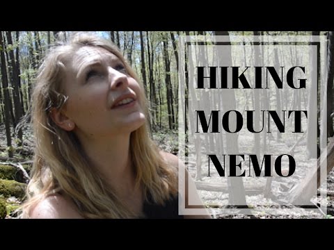 Come HIKING With My DOG! | Hiking on Mount Nemo, Canada