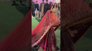 Hafsa khan and shaheer khan barat entry💥#trending #viral #hafsakhan #barat #shorts #entry ❤️