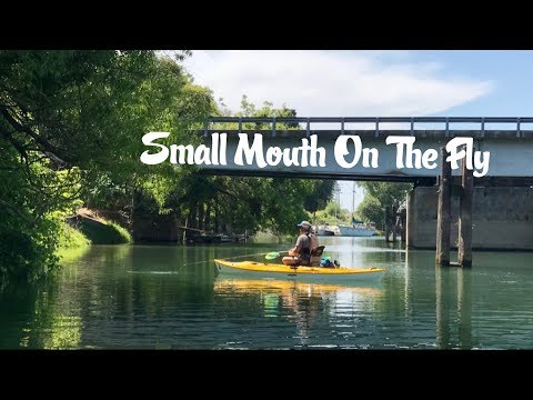 Small Mouth On The Fly: North Delta with Bill and Josh