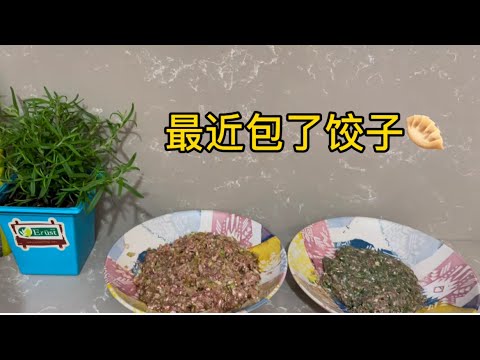 最近包了饺子🥟#中国美食#东北饺子 #china