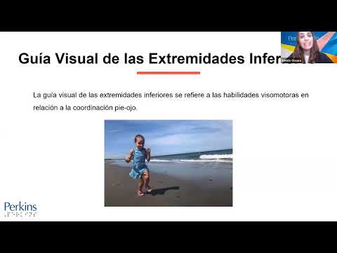 CVI - Área de Evaluación: Guía visual de las extremidades inferiores