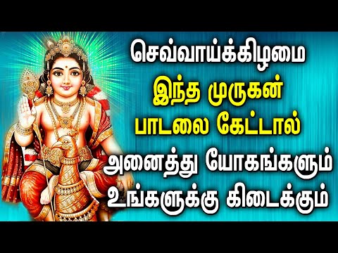 TUESDAY POWERFUL MURUGAN DEVOTIONAL SONGS | Lord Murugan Padalgal | Best Murugan Tamil Songs