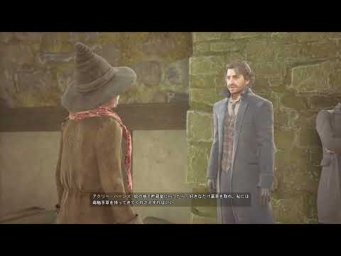 【ホグワーツ・レガシー】#64 毒の復習 実況なし プレイ動画 Hogwarts Legacy