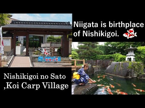 "Nishikigoi no sato"  ～Measure of facilities in Niigata to prevent COVID-19 infection～