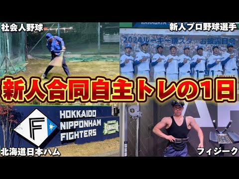 【北海道日本ハム】ゴンザレスの友人の新人合同自主トレに参加してみた