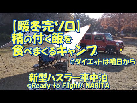 【暖冬完ソロ】精の付くキャンプ飯 新型ハスラー車中泊@Ready to flight! NARITA