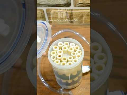 😍 This DIY Canister Filter is Perfect for Nano Aquariums!