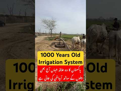 1000 Years old irrigation system in Punjab Pakistan #usmantahirjappa #umaisavlogs #travel