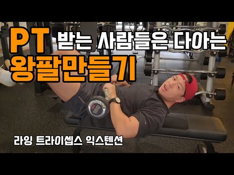 왕팔만들기 라잉트라이셉스익스텐션