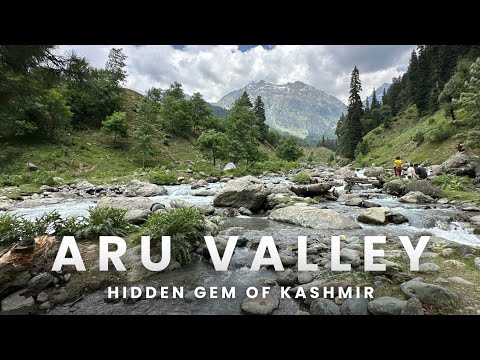 Incredible trip to Aru Valley Pahalgam | Hidden gem of Kashmir | Kashmir during summer