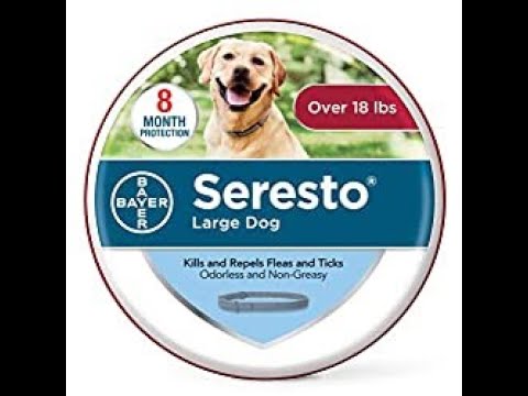 Collar para perros anti pulgas y garrapatas Bayer /The Seresto flea and tick collar for dogs Bayer.