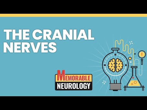 Cranial Nerves Mnemonics (Memorable Neurology Lecture 9)