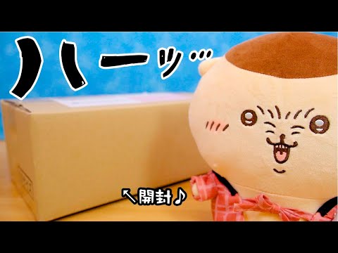 【ゆる動画】くりまんじゅうと一緒に〇〇しました♪ちいかわ購入品  fromegg