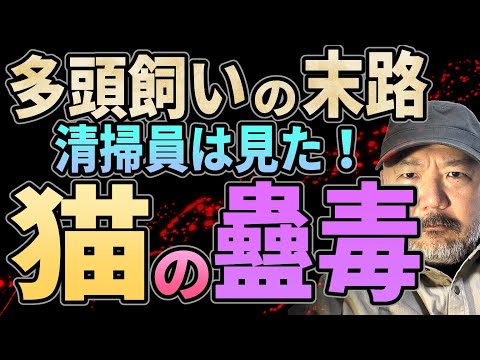 【猫の蠱毒】多頭飼いの末路!!　清掃員が見た凄惨な現場とは？