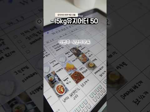 -15kg 유지어터의 하루식단 (feat 입터졌을때) #다이어트브이로그 #다이어트식단