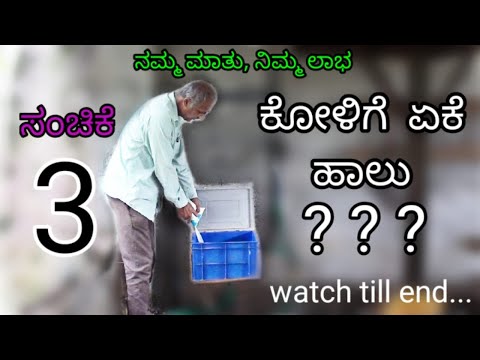 ಕೋಳಿ ಬಂದ ಎರಡನೇ ದಿನ || ಸಂಚಿಕೆ-03 || Second day chicks || Episode-03 ||